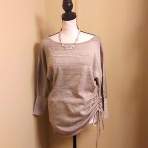 Express Shimmering Tan Knit Top